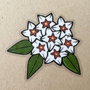 Hoya Bella Sticker-2
