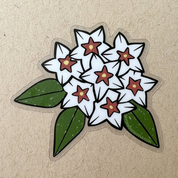 Hoya Bella Sticker - 0