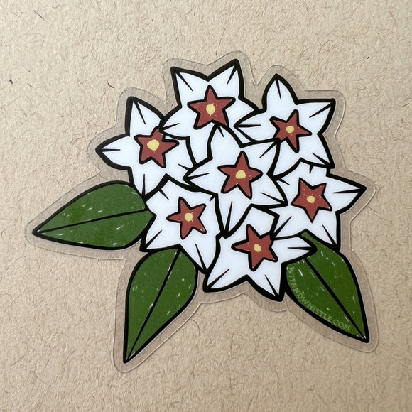 Hoya Bella Sticker