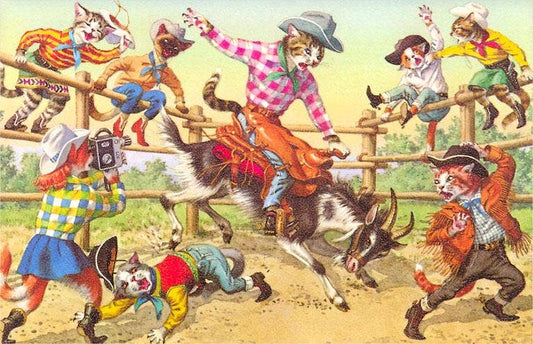 Crazy Cat Rodeo Postcard