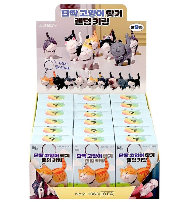 Best Friend Cat Mystery Keychain