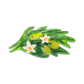 Large Olive Branch Hair Claw Clip