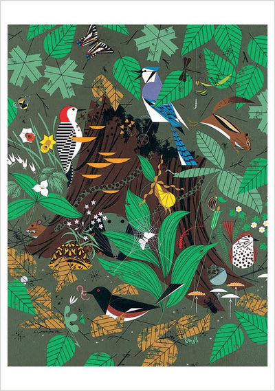 Woodland Wonders Charley Harper Notecard
