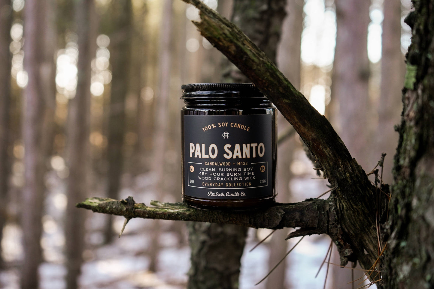 Palo Santo | Sandalwood + Moss Candle