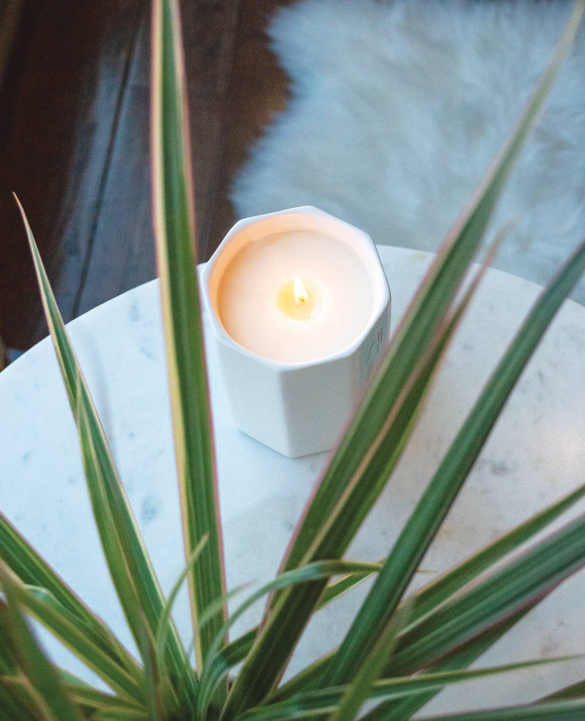 The Archivist Vintage Warm Spice Candle