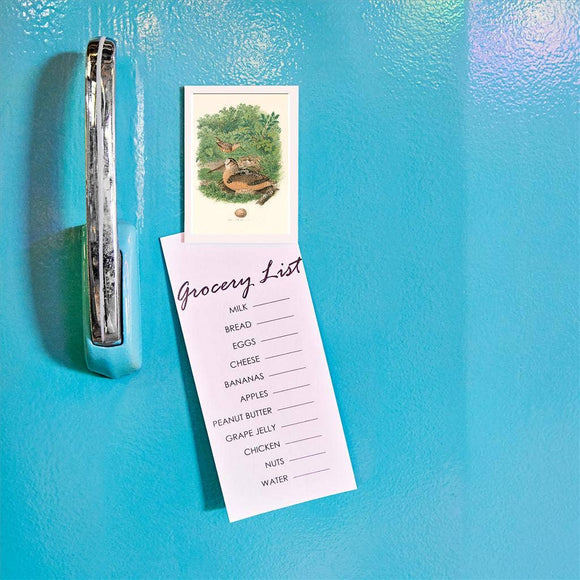 American Woodcock Nest and Eggs Magnet