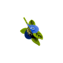 Mini Blueberry Hair Claw Clip-3