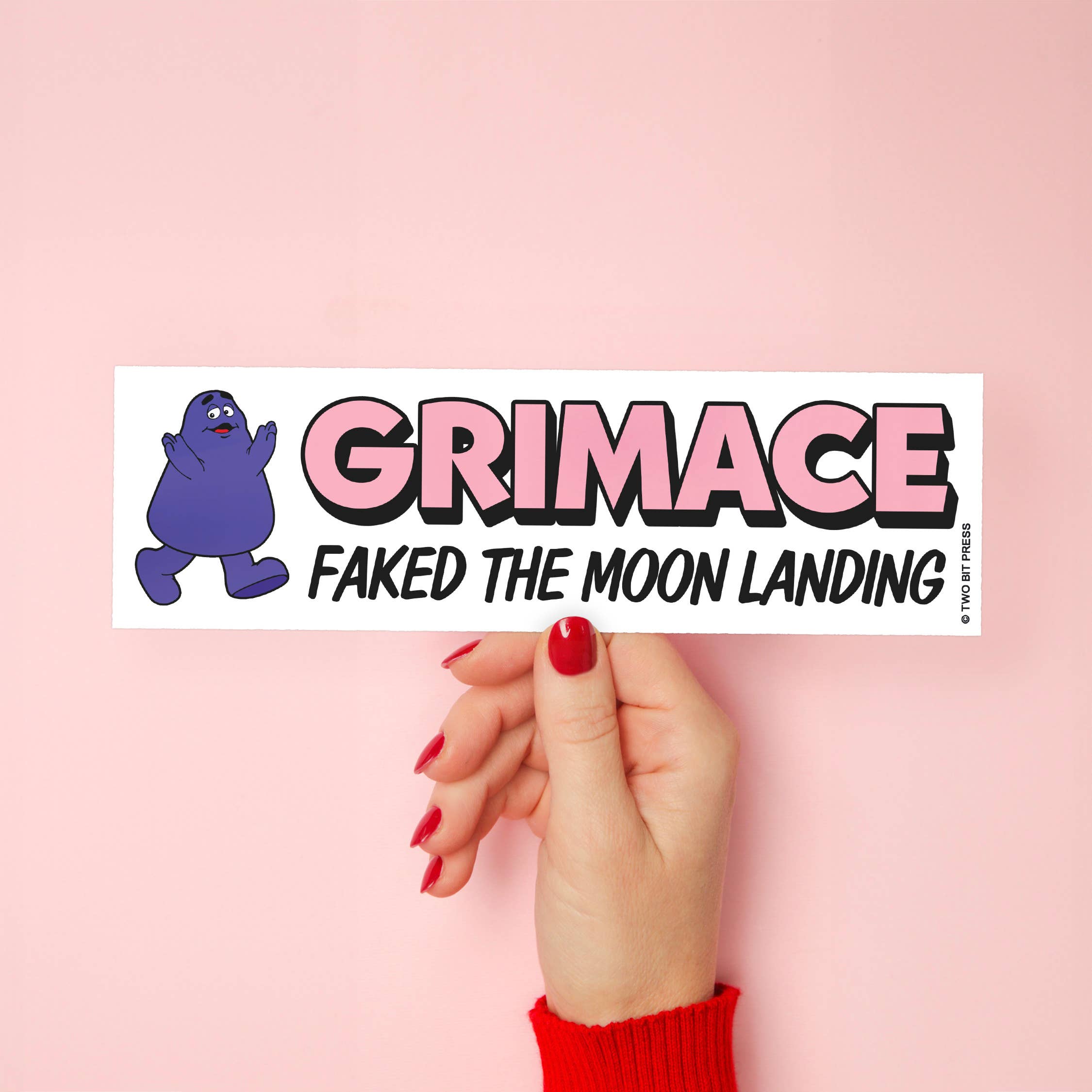 Faked the Moon Landing Bumper Sticker