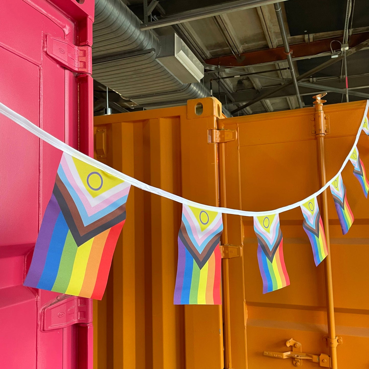 Progress Pride Flag Bunting