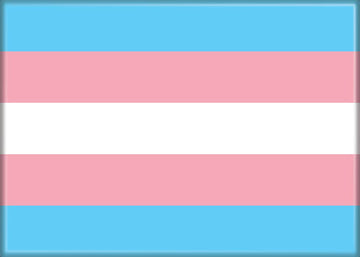 Transgender Flag Magnet