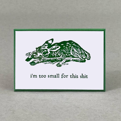 Too Small for This Magnet