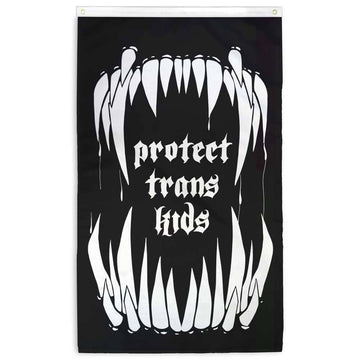 Protect Trans Kids Flag