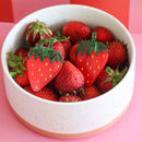 Strawberry Alligator Hair Clip Set-6