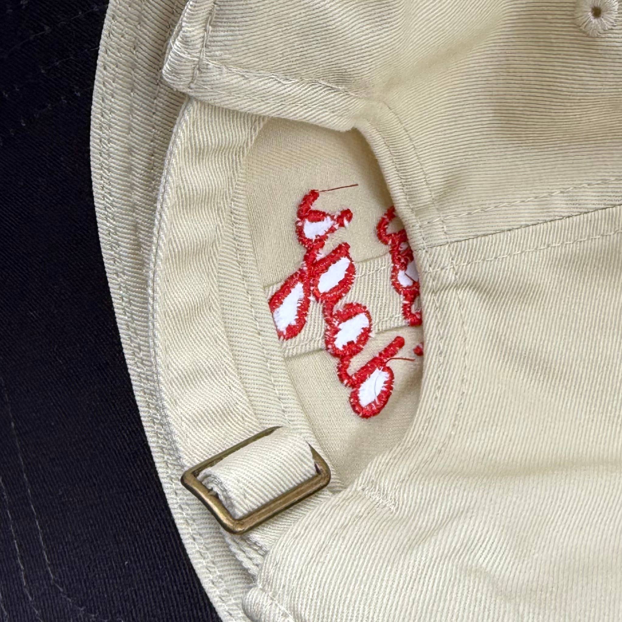 Hot Dogs Dad Hat