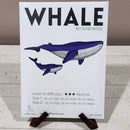 Whale 3D PaperCraft Wall Art Kit-6