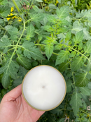 Tomato Leaf Soy Wax Candle-2