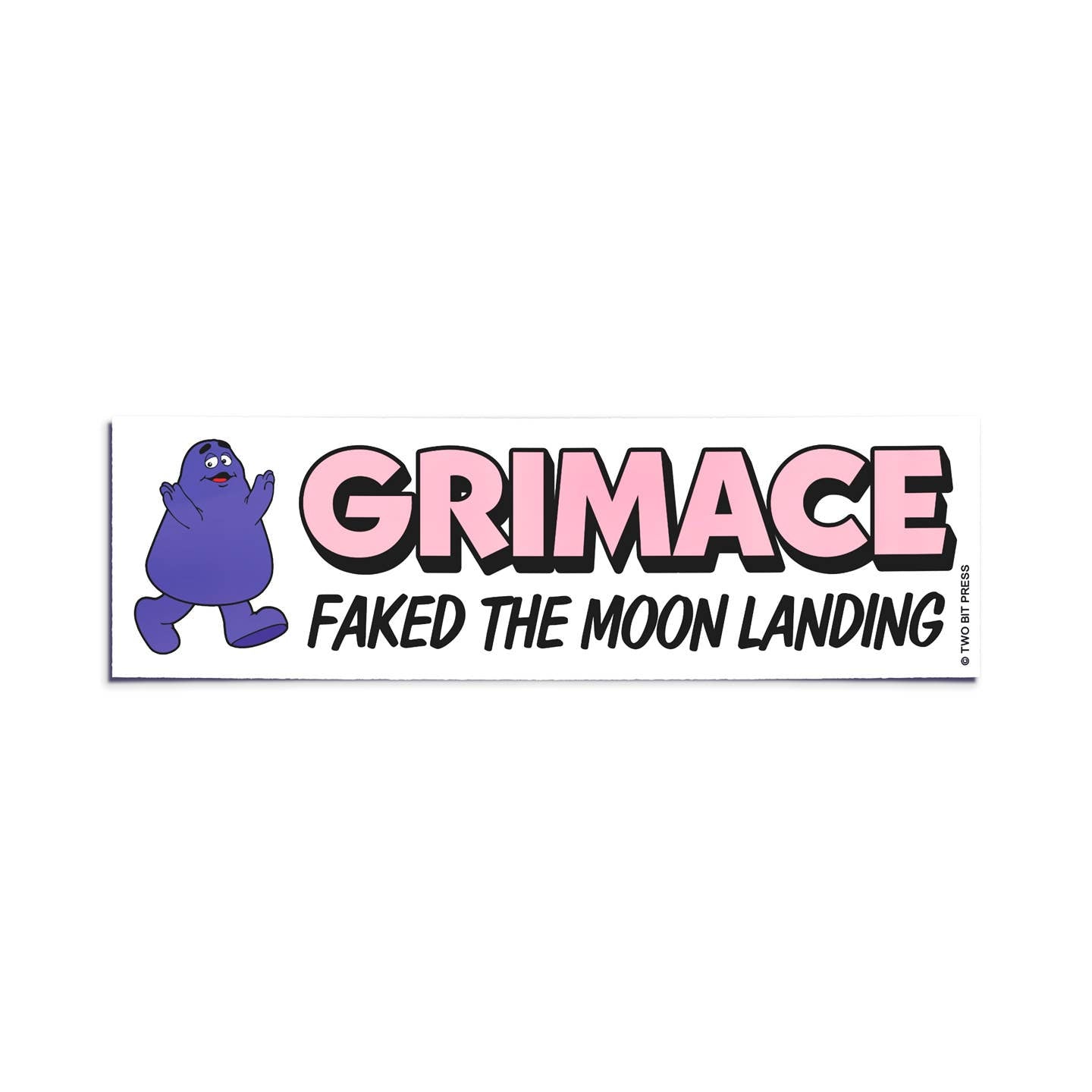 Faked the Moon Landing Bumper Sticker