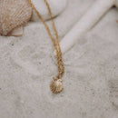 Sea Shell Necklace-5