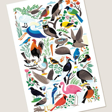 Birds of a Feather Art Print - 0