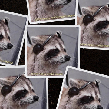 Slow Heavy Metal Raccoon Sticker
