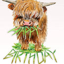 Highland Cow Birthday Card-2
