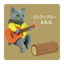 Cat's Holiday Campfire Edition Blind Box-7
