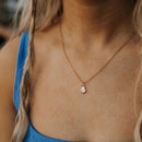 Sea Shell Necklace-2