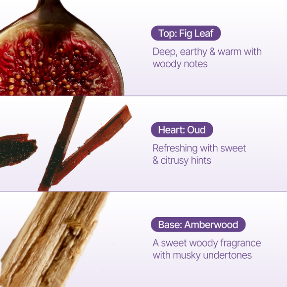 DROPLET Fig Leaf Incense Drops | 26 Cones