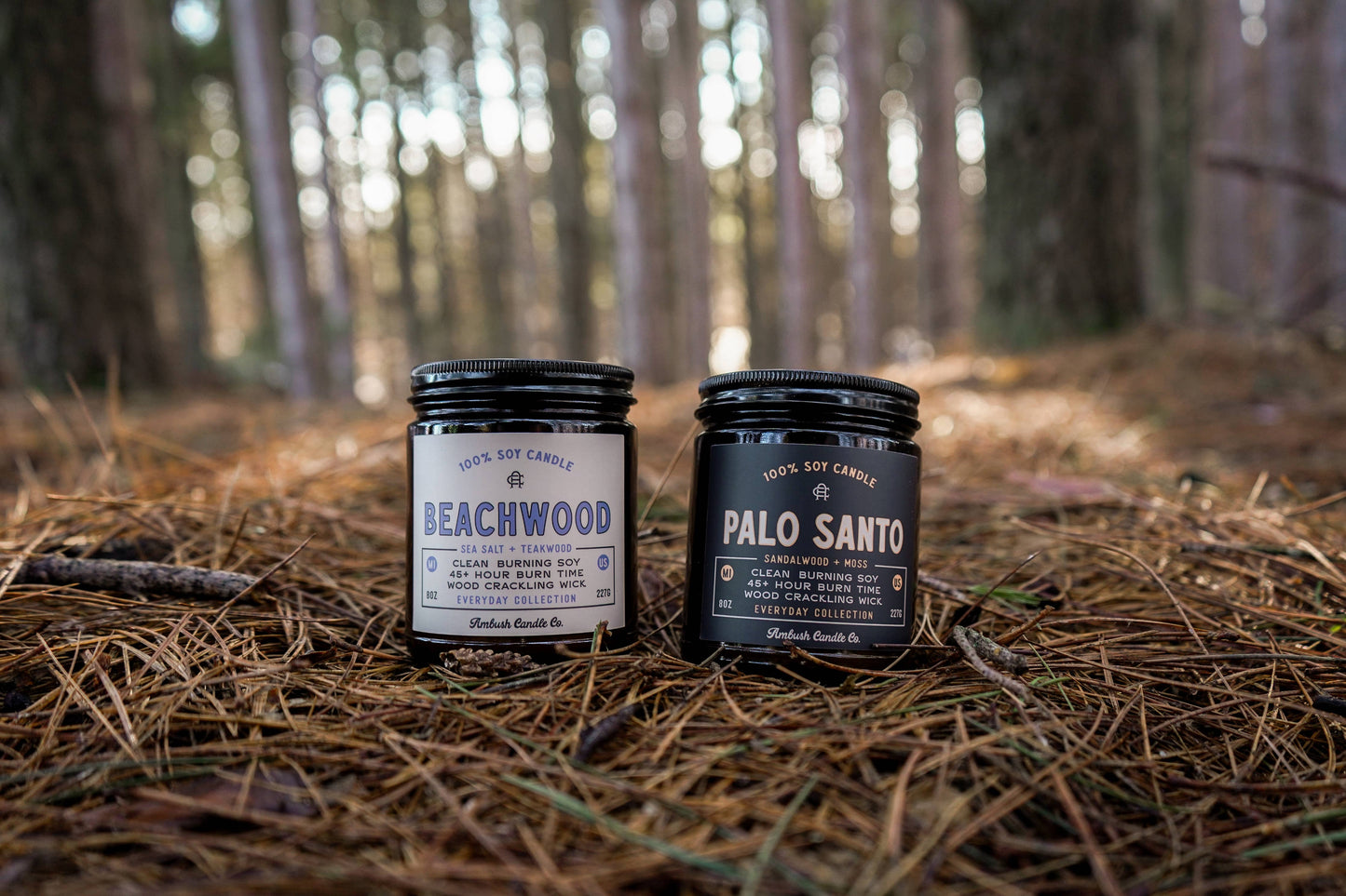 Beachwood | Sea Salt + Teakwood Candle