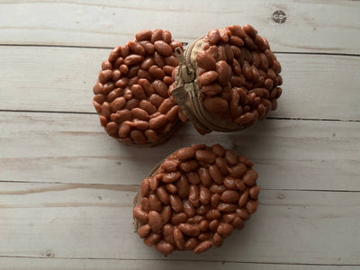 Beans Coin Purse
