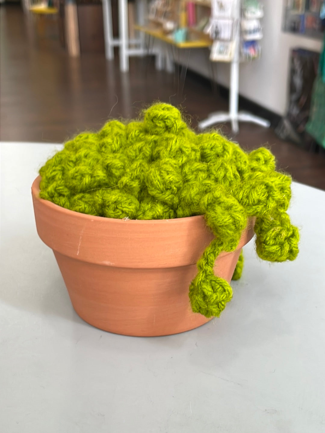 Crochet Succulent 7