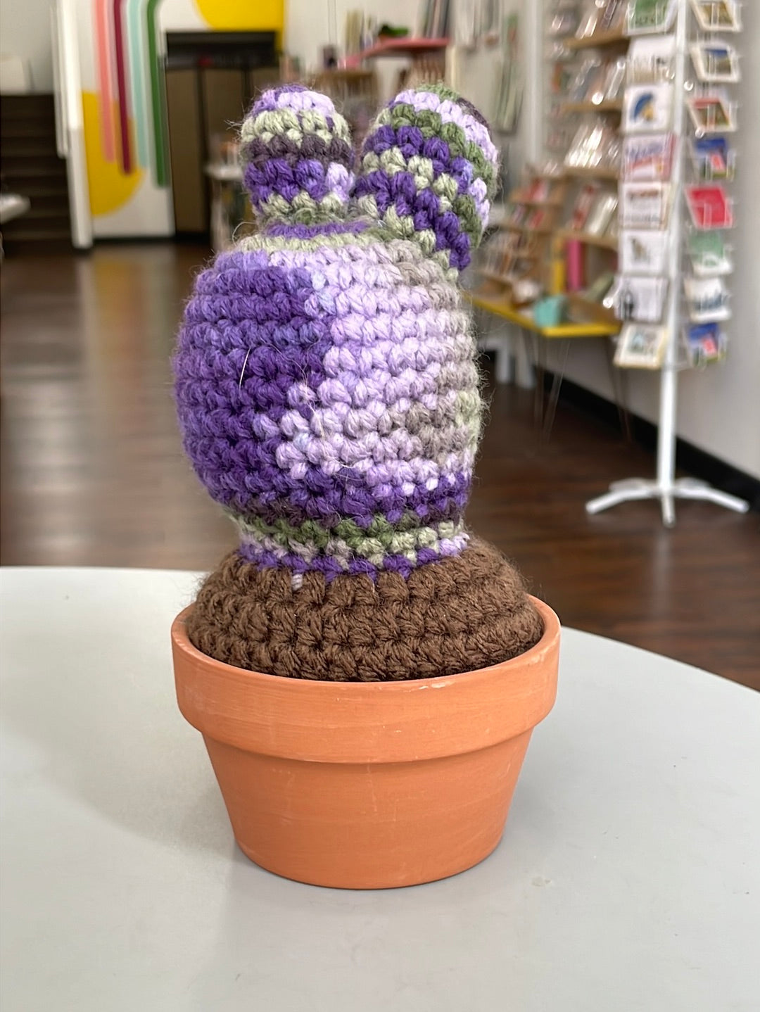 Purple Crochet Cactus 2