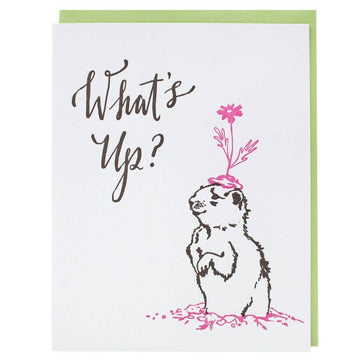 Just Because Gopher Card