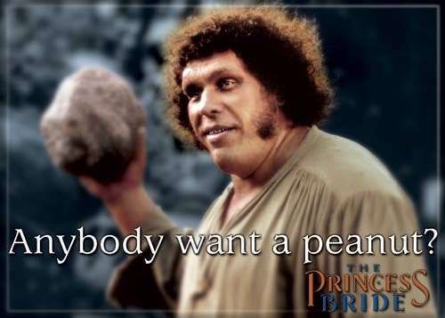 Princess Bride Anybody Want Peanuts? Magnet