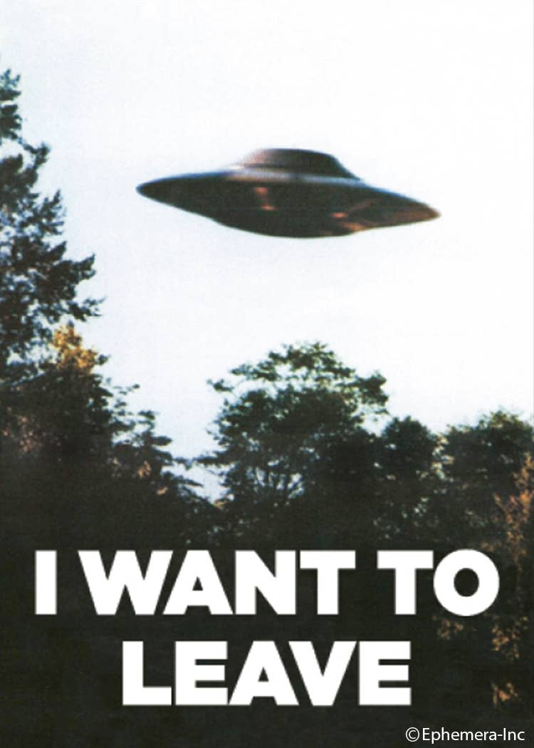 I Want to Leave UFO Magnet