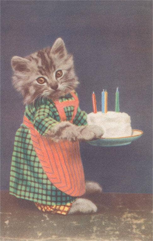 Kitten with Cake Postcard