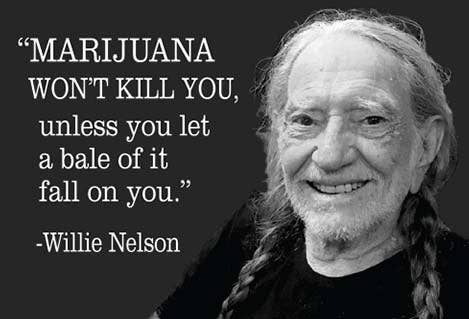 Marijuana Won't Kill You Willie Nelson Magnet