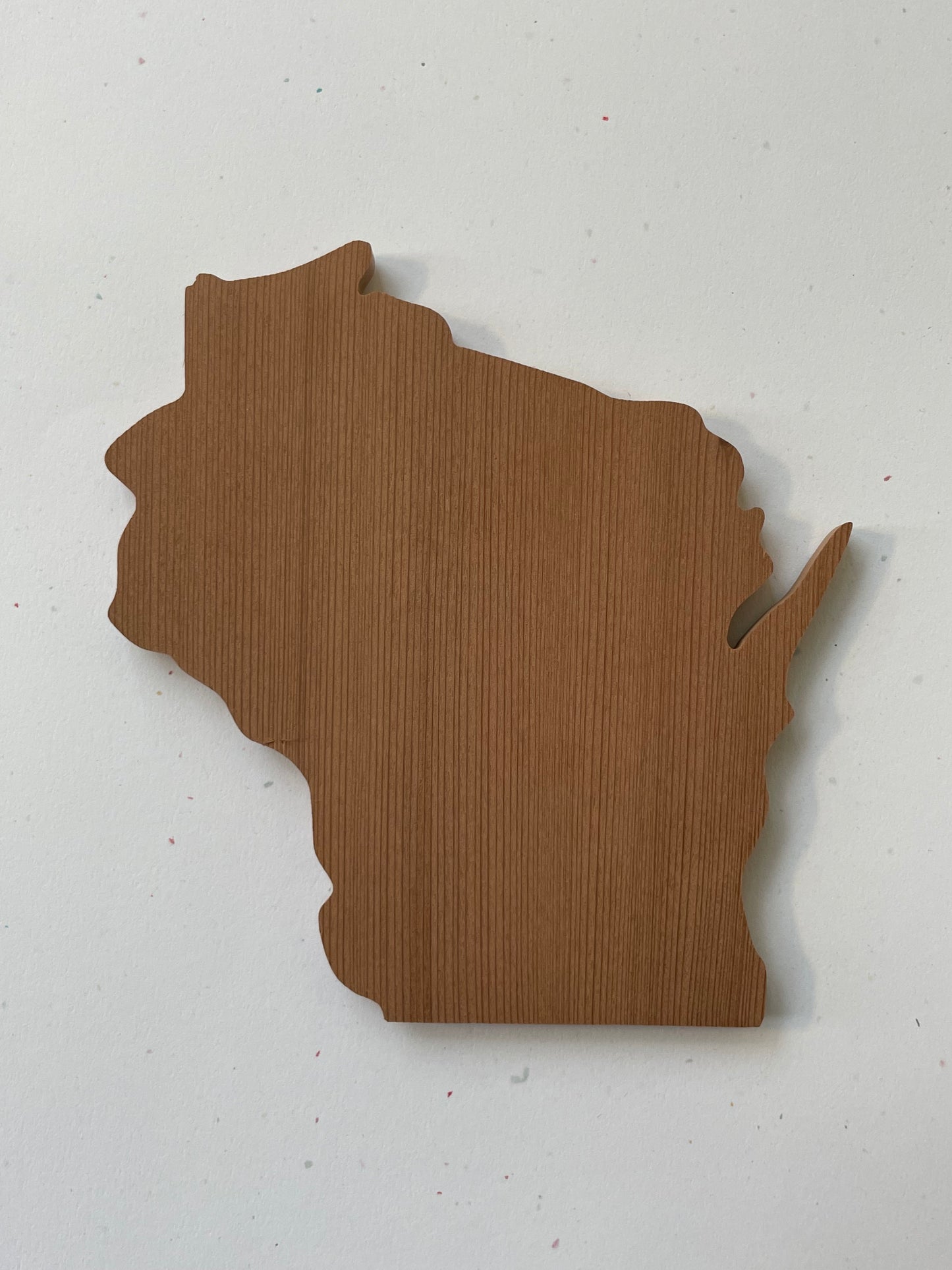Wisconsin Wood Coaster