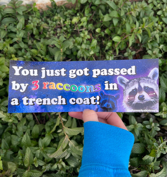 3 Raccoons in a Trenchcoat Bumper Sticker