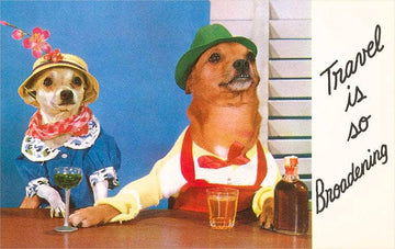 Travel is Broadening Dogs Postcard