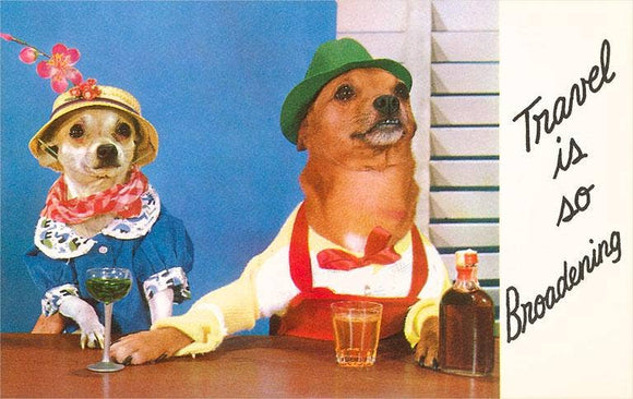 Travel is Broadening Dogs Postcard