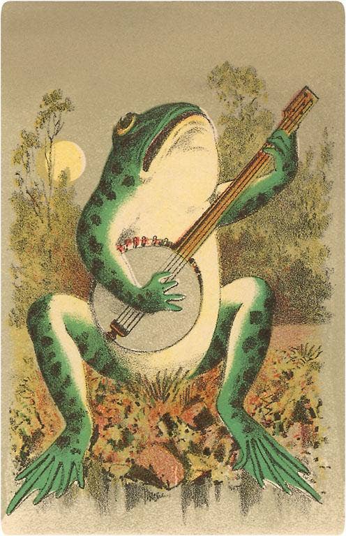 Frog Playing Banjo Postcard